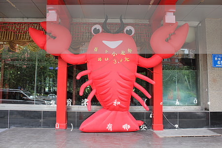 生育津貼和產(chǎn)假工資的區(qū)別有哪些？